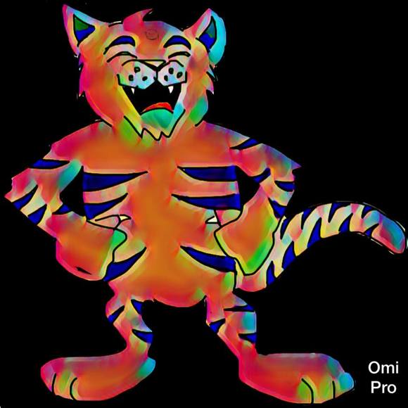 roxasorgan13